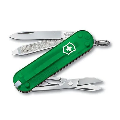 championbbqsupply20260701174356948015