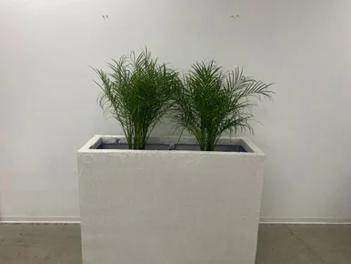 connectubes20260701170716929712