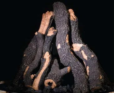thebbqdepot20260701181039961530